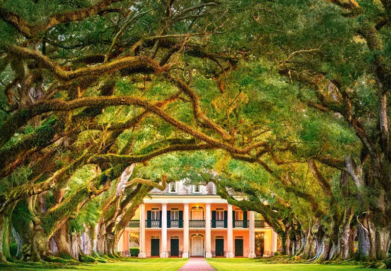 Castorland - Oak Alley Plantation - 1000 Piece Jigsaw Puzzle Online