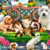Castorland - Pets in the Park - 1000 Piece Jigsaw Puzzle Online