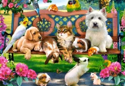 Castorland - Pets in the Park - 1000 Piece Jigsaw Puzzle Online