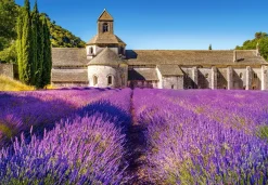 Castorland - Provence, France - 1000 Piece Jigsaw Puzzle Clearance