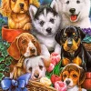 Castorland - Puppies - 1000 Piece Jigsaw Puzzle New