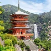 Castorland - Seiganto-Ji Temple, Japan - 1000 Piece Jigsaw Puzzle Best