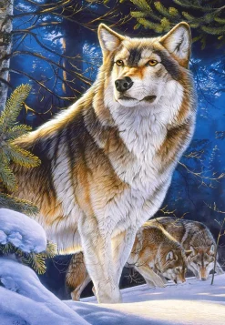 Castorland - Sentinel - 1000 Piece Jigsaw Puzzle Best
