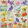 Castorland - Vintage Floral - 1000 Piece Jigsaw Puzzle Sale