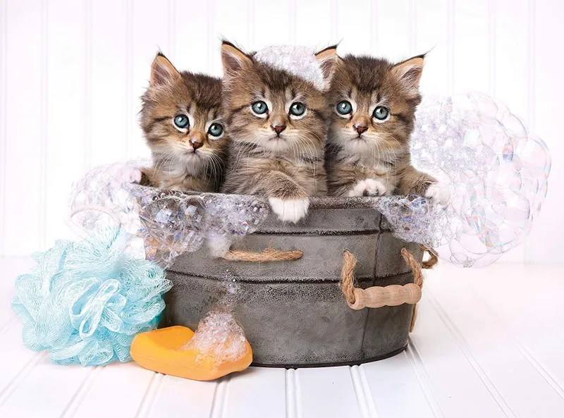 Clementoni - Kittens and Soap - 500 Piece Jigsaw Puzzle Sale