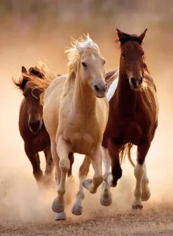 Clementoni - Running Horses - 1000 Piece Jigsaw Puzzle Online
