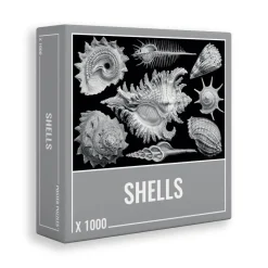 Cloudberries - Shells - 1000 Piece Jigsaw Puzzle Fashion