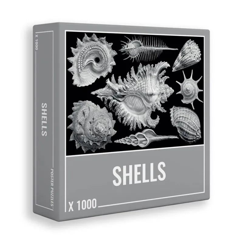 Cloudberries - Shells - 1000 Piece Jigsaw Puzzle Fashion