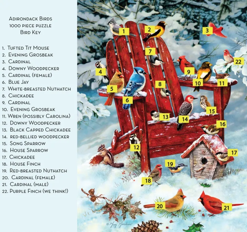 Cobble Hill - Adirondack Birds - 1000 Piece Jigsaw Puzzle Clearance