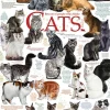Cobble Hill - Cat Quotes - 1000 Piece Jigsaw Puzzle Sale