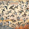 Cobble Hill - Ducks of North America - 1000 Piece Jigsaw Puzzle Hot