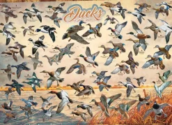 Cobble Hill - Ducks of North America - 1000 Piece Jigsaw Puzzle Hot