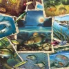 Cobble Hill - Fish Pics - 1000 Piece Jigsaw Puzzle Sale