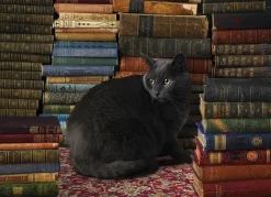 Cobble Hill - Library Cat - 1000 Piece Jigsaw Puzzle New