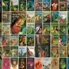 Cobble Hill - Nancy Drew - 1000 Piece Jigsaw Puzzle Best
