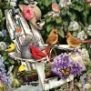 Cobble Hill - Summer Adirondack Birds - 1000 Piece Jigsaw Puzzle Sale