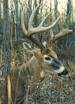 Cobble Hill - White-tailed Deer - 1000 Piece Jigsaw Puzzle New