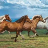 Cobble Hill - Windswept - 1000 Piece Jigsaw Puzzle Hot
