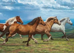 Cobble Hill - Windswept - 1000 Piece Jigsaw Puzzle Hot