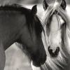 Dino - Black and White Horses - 1000 Piece Jigsaw Puzzle Discount