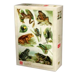 Deico Games Dtoys - Frogs - 1000 Piece Jigsaw Puzzle Sale