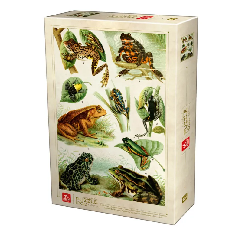 Deico Games Dtoys - Frogs - 1000 Piece Jigsaw Puzzle Sale