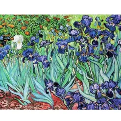 Dtoys - Van Gogh : Iris - 1000 Piece Jigsaw Puzzle Clearance