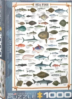 Eurographics - Sea Fish - 1000 Piece Jigsaw Puzzle Outlet