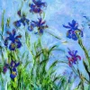 Eurographics - Claude Monet: Irises (Detail) - 1000 piece jigsaw puzzle Clearance