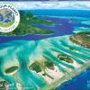 Eurographics - Coral Reef - 1000 Piece Jigsaw Puzzle Hot