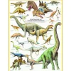 Eurographics - Dinosaurs - 1000 Piece Jigsaw Puzzle Discount