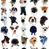 Eurographics 6000-1510 Dogs - 1000 Piece Jigsaw Puzzle Fashion