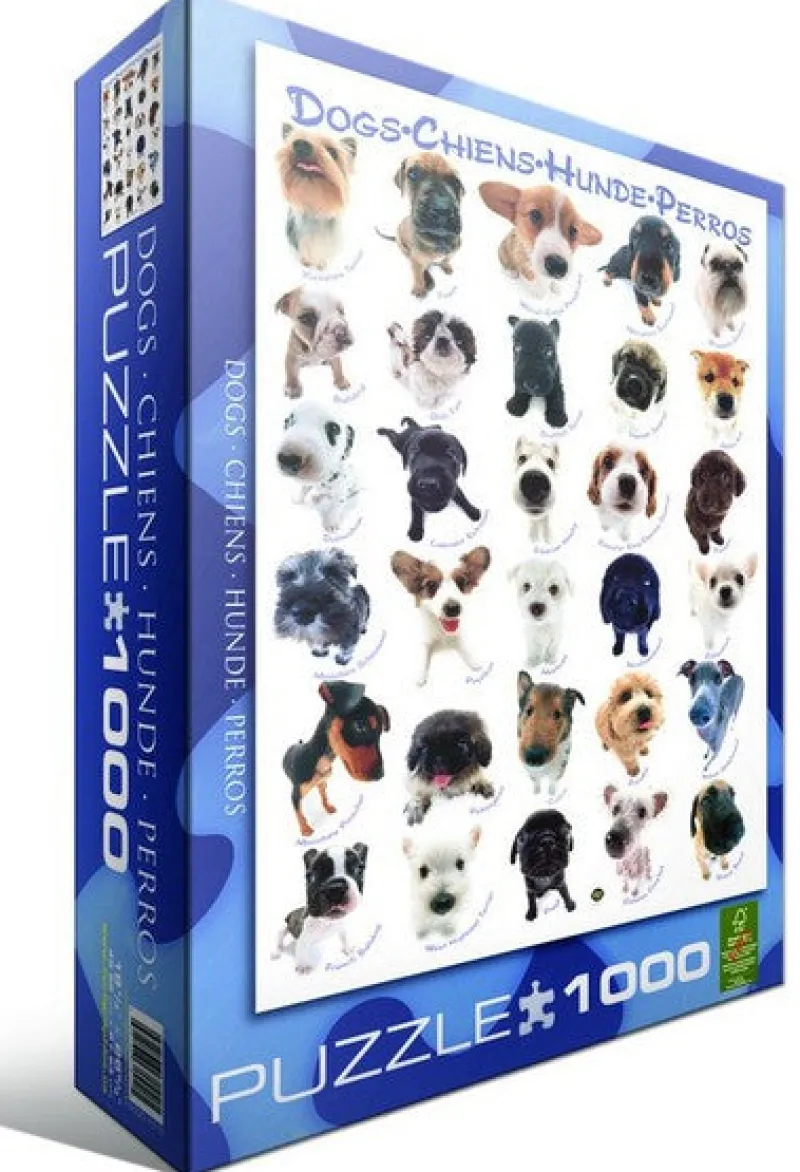 Eurographics 6000-1510 Dogs - 1000 Piece Jigsaw Puzzle Fashion