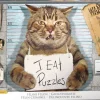 Eurographics - Feline Felon - 500 pieces Clearance