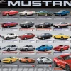 Eurographics - Ford Mustang Evolution - 1000 Piece Jigsaw Puzzle Fashion