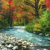 Eurographics - Forest Stream - 1000 Piece Jigsaw Puzzle Best