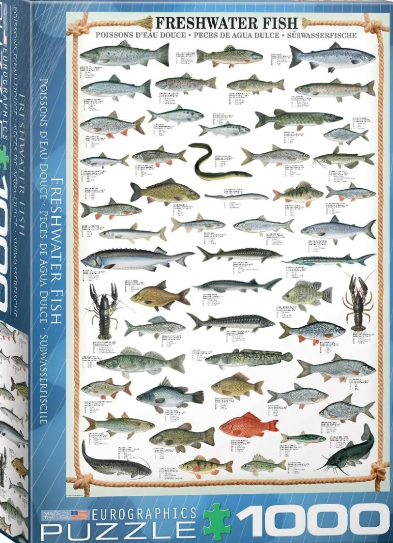 Eurographics - Freshwater Fish - 1000 Piece Jigsaw Puzzle Hot