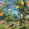 Eurographics - Garden Birds - 1000 Piece Jigsaw Puzzle Sale