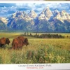 Eurographics - Grand Teton National Park - 1000 pieces Outlet