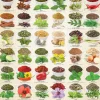 Eurographics - Herbs and Spices - 1000 Piece Jigsaw Puzzle Sale