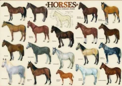 Eurographics - Horses - 1000 Piece Jigsaw Puzzle Fashion