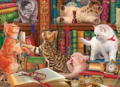 Eurographics - Library Kittens - 1000 Piece Sale