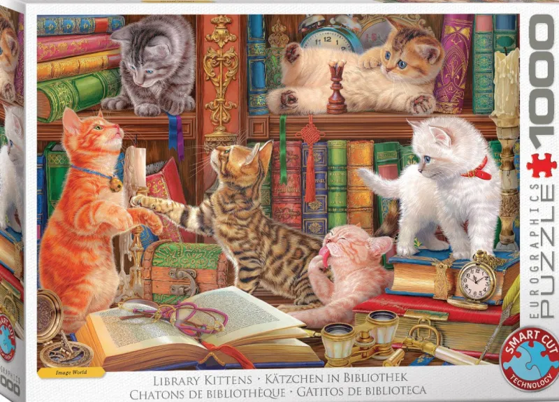 Eurographics - Library Kittens - 1000 Piece Sale