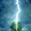 Eurographics - Lightning Striking a Tree - 1000 Piece Jigsaw Puzzle Outlet