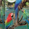 Eurographics - Macaws - 250 pieces New