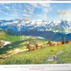 Eurographics - Mountain Elks - Colorado - USA - 1000 pieces Hot
