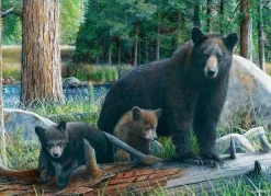 Eurographics - New Discoveries - 1000 piece jigsaw puzzle Online