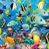 Eurographics - Ocean Colors - 1000 Piece Jigsaw Puzzle Clearance