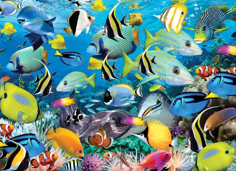 Eurographics - Ocean Colors - 1000 Piece Jigsaw Puzzle Clearance