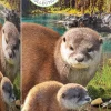 Eurographics - Otters - 250 pieces Discount